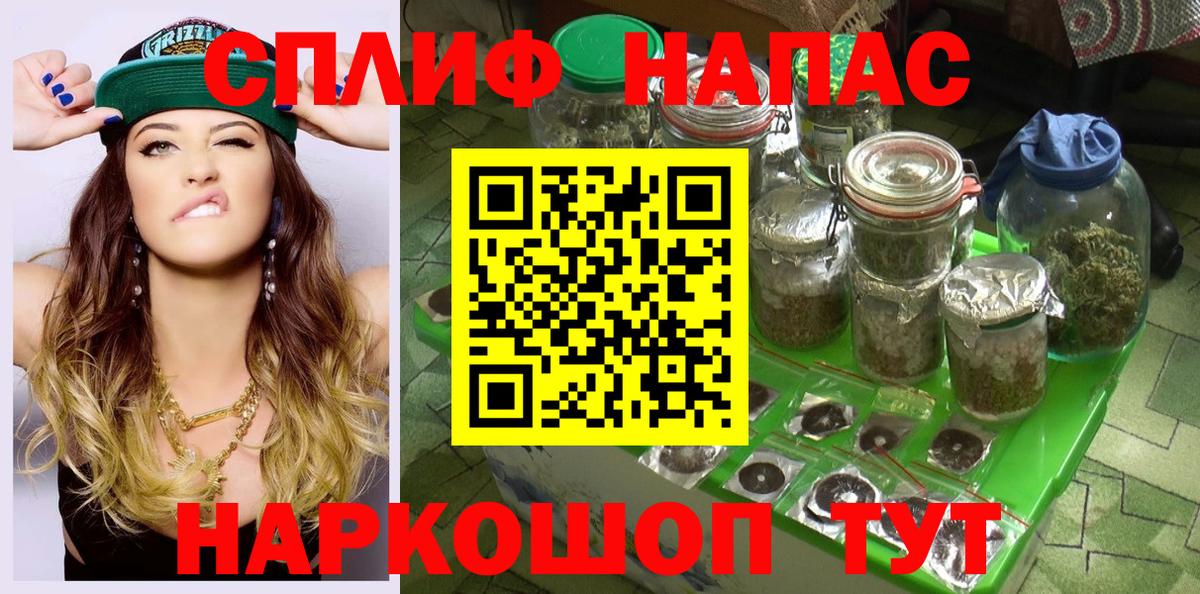 МАРИХУАНА семена Тара